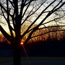 Silhouette bare tree against sky during sunset