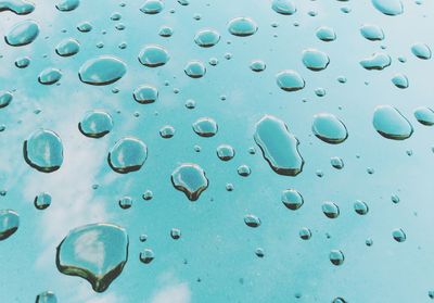 Close-up of water drops on glass window