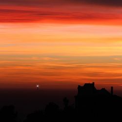 Silhouette trees against orange sky