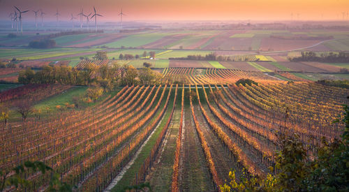 High angle view of agricultural field against sky during sunset