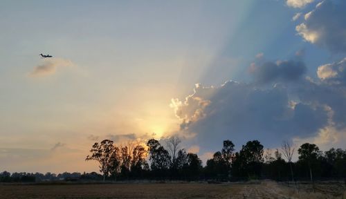 Silhouette trees on field against sky during sunset