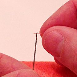 Close-up of hand holding camera