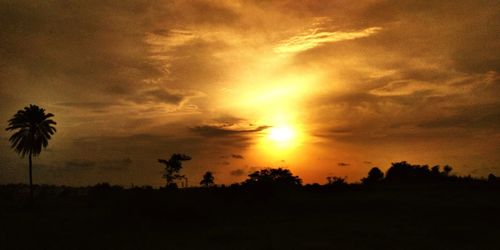Scenic view of silhouette trees against dramatic sky during sunset