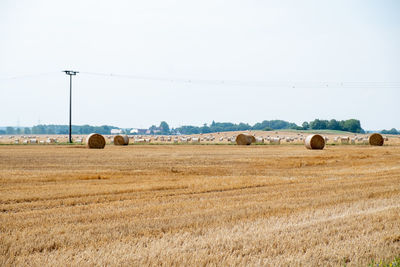 Hay bales on field against sky