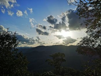 Low angle view of silhouette trees against sky