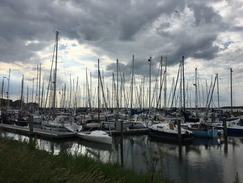 Sailboats moored at harbor against sky