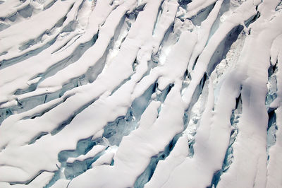 Full frame shot of leaves