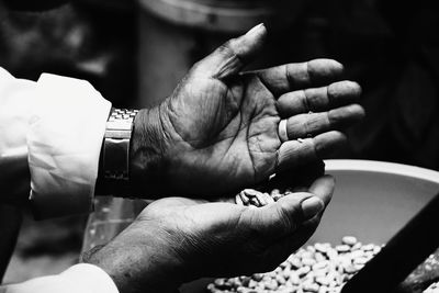 Close-up of hand holding beans