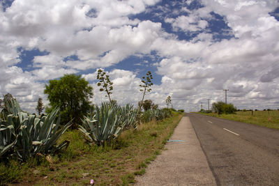 Landscape of free state province in south africa under cloudy dreary sky before storm 