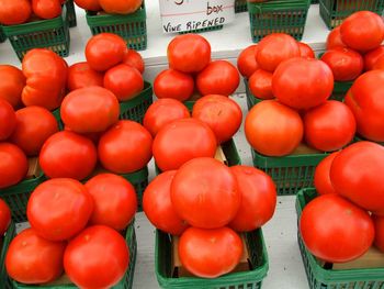 Low angle view of tomatoes for sale at market stall