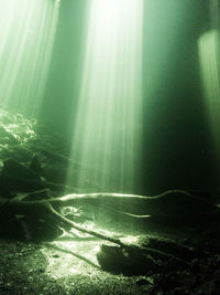 Sunlight streaming through clouds over sea
