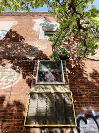 Low angle view of tree and building