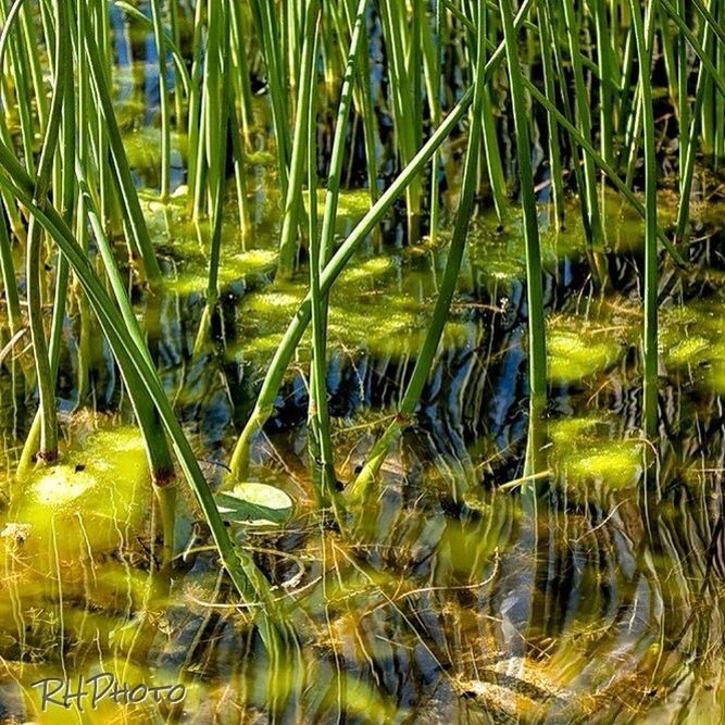 Interior of British Columbia, Canada