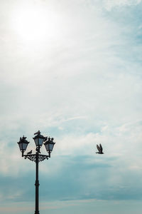 Low angle view of birds flying in sky