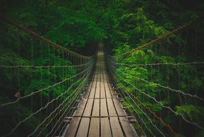 Footbridge amidst trees in forest