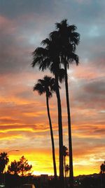 Low angle view of silhouette palm trees against romantic sky