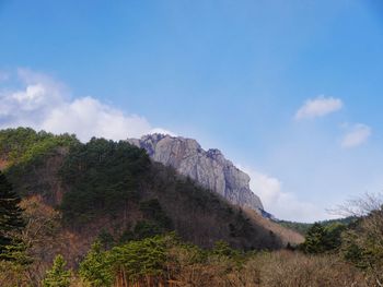 Scenic view of mountain against sky