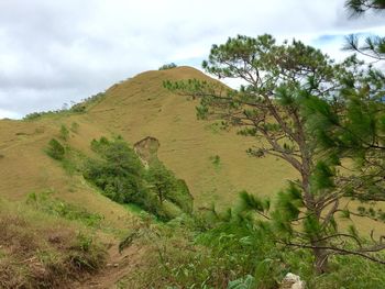 Scenic view of landscape against cloudy sky