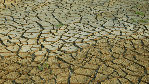 Full frame shot of cracked land