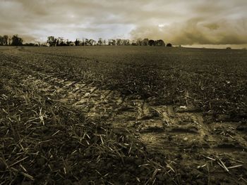 Scenic view of field against sky