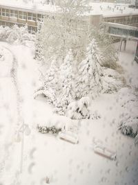 Close-up of snow on building