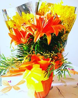 Close-up of orange potted plant