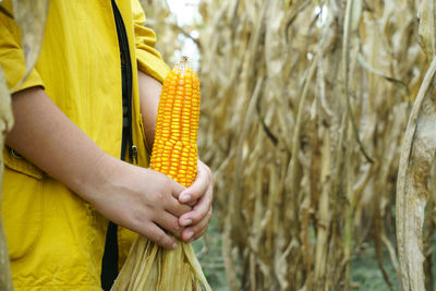 Close-up of woman holding yellow leaf