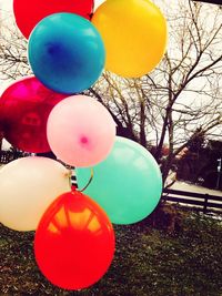 Close-up of colorful balloons