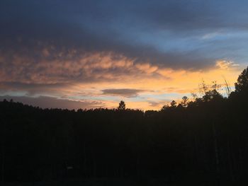 Silhouette trees in forest against sky at sunset