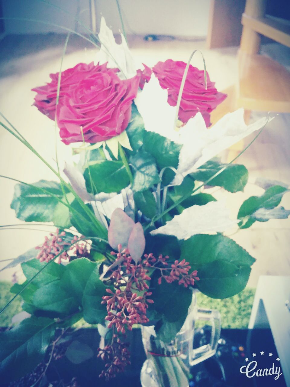 CLOSE-UP OF PINK FLOWERS AND PLANTS