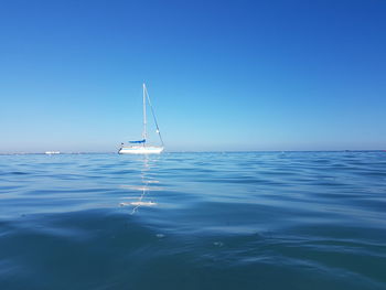 Sailboat sailing in sea against clear blue sky