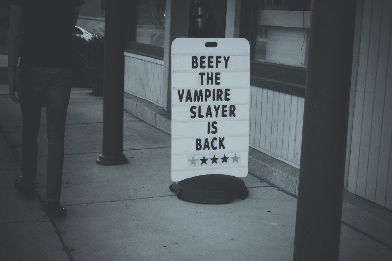 Vampire slayer