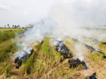 Smoke emitting from volcanic on field against sky