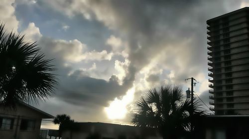 Low angle view of palm trees against sky