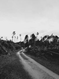 Road passing through country road