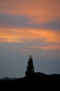 Silhouette tree against sky during sunset