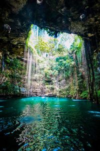 Scenic view of waterfall in forest