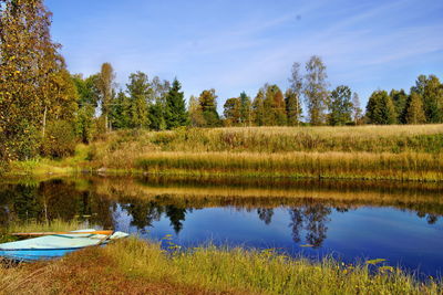 Reflection of trees in water