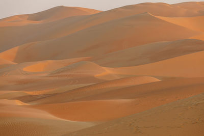 Scenic view of desert