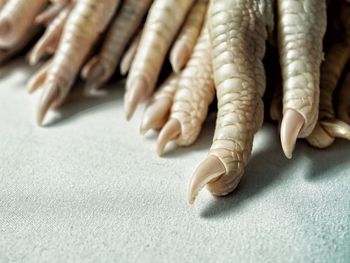 High angle view of meat on table