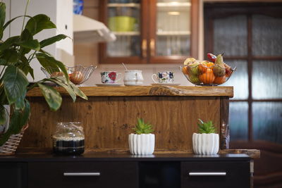 Potted plant on table at home