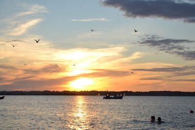 Silhouette birds flying over sea against sunset sky