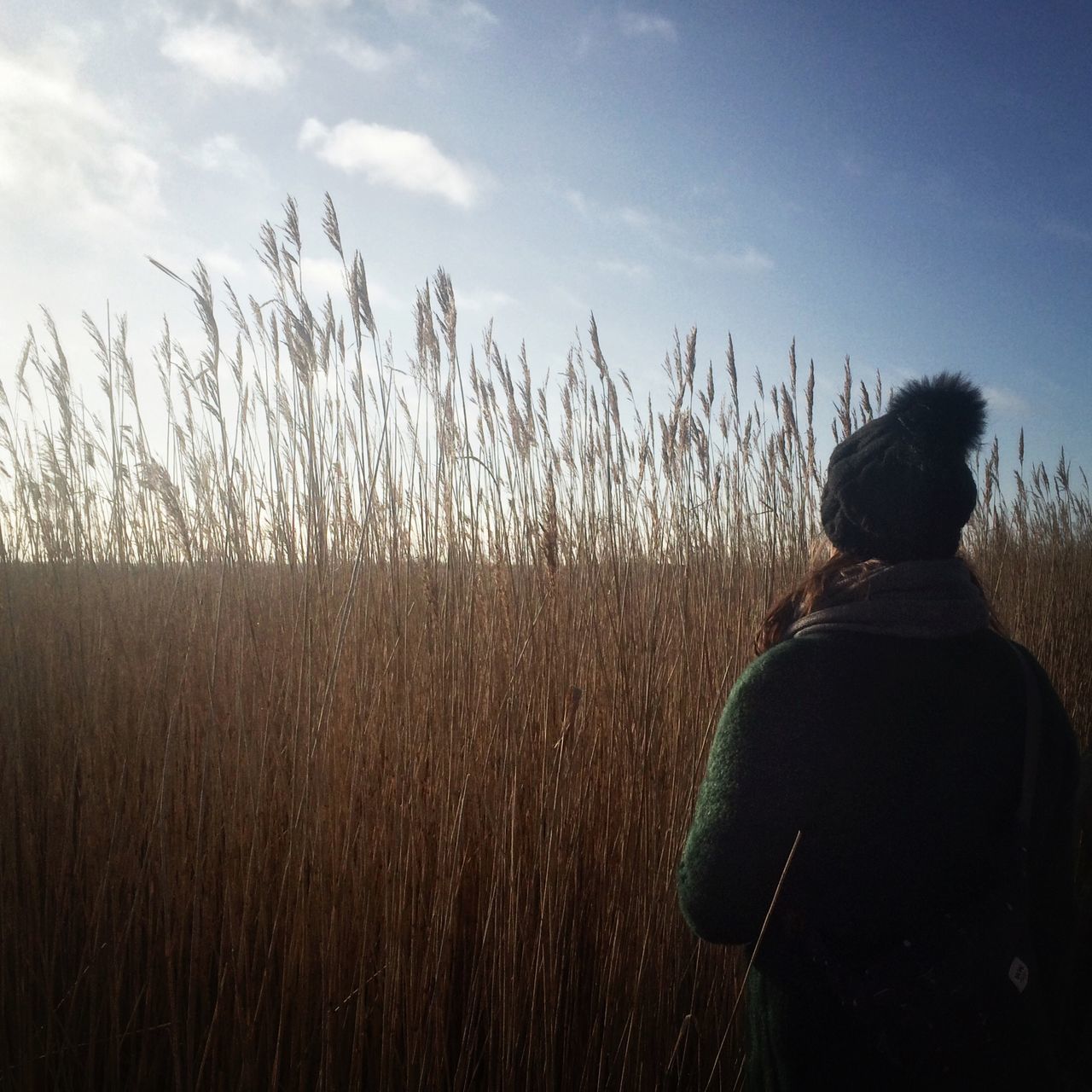 lifestyles, field, sky, rear view, leisure activity, standing, landscape, men, nature, silhouette, tranquility, plant, person, tranquil scene, grass, three quarter length, casual clothing, beauty in nature