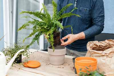 Close-up of a male gardener, florist transplanting a homemade fern into a clay pot. 