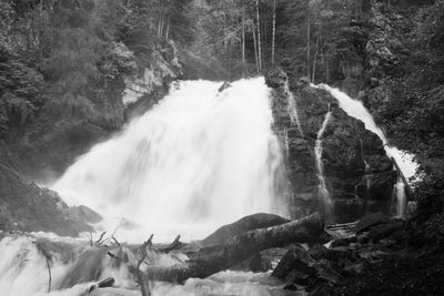 Scenic view of waterfall in forest