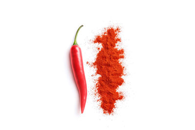 High angle view of red chili pepper against white background