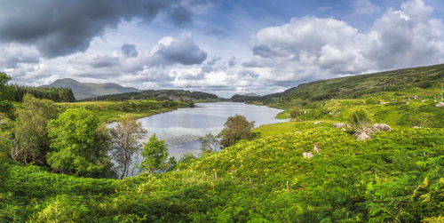 Large panorama with beautiful lake, looscaunagh, surrounded by green hills ring of kerry, ireland