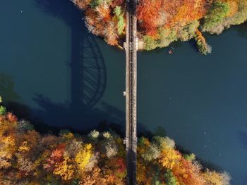 Trees by lake during autumn