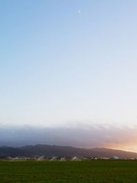Scenic view of field against clear sky