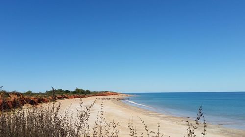 Scenic view of beach against clear blue sky